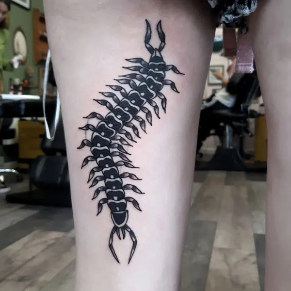 Centipede Tattoo 62