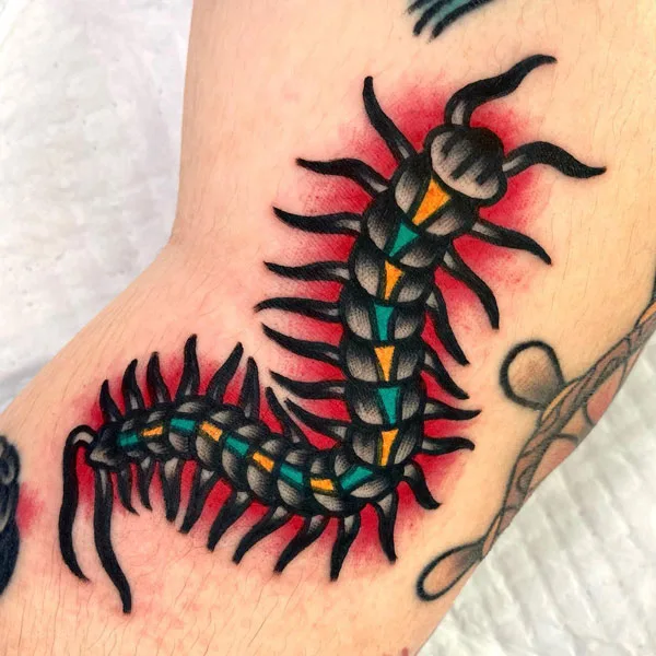 Centipede Tattoo 66