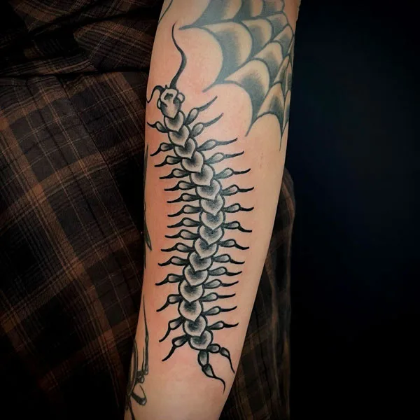 Centipede Tattoo 68