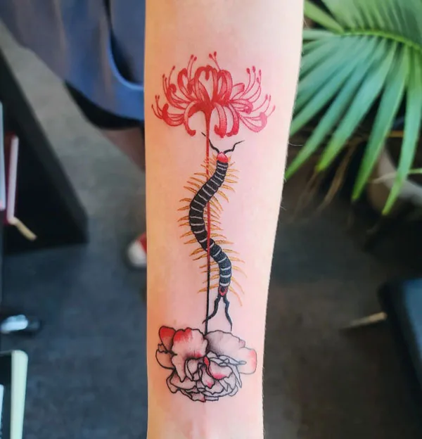 Centipede Tattoo 84