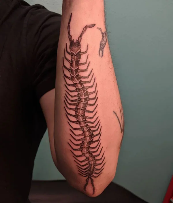 Centipede Tattoo 88
