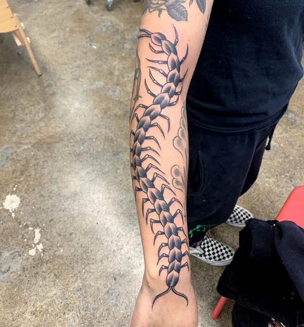 Centipede Tattoo 89