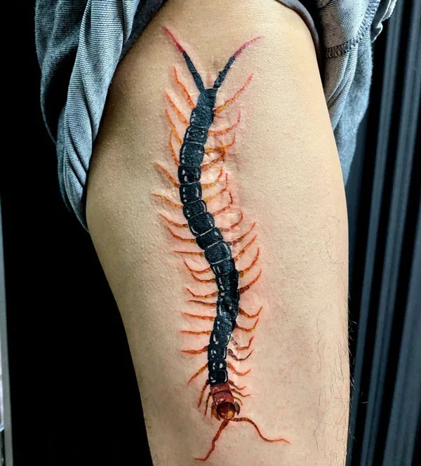 Centipede Tattoo 93