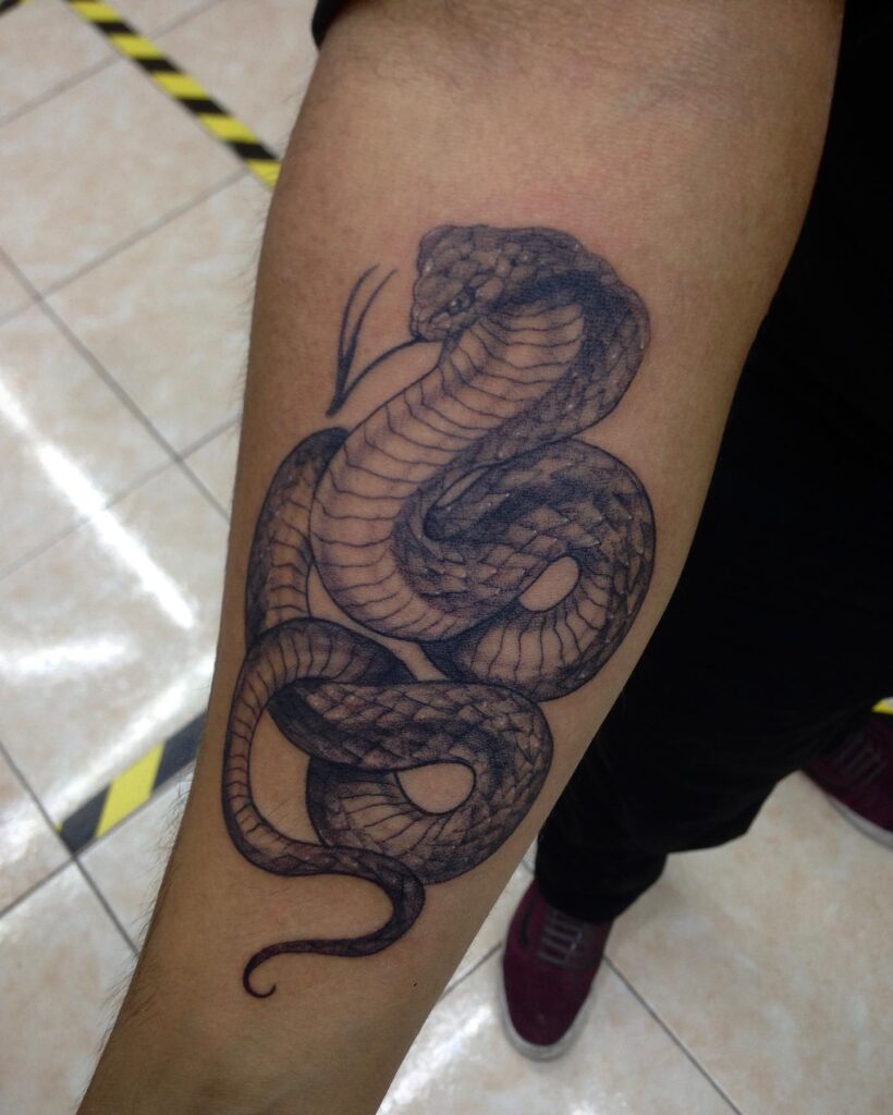 Cobra tattoo below the elbow, a bold statement: serpentine elegance