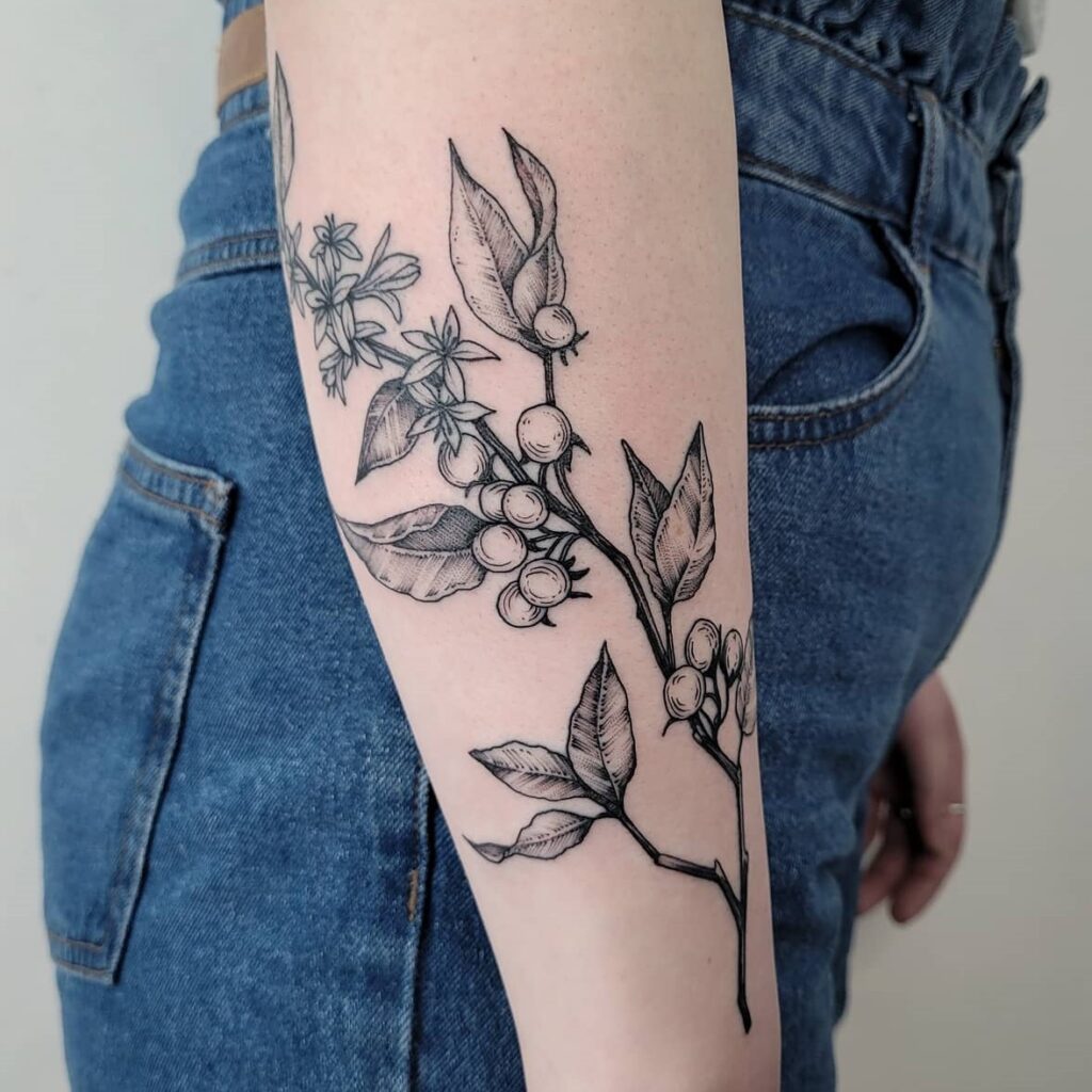 Coffee Plant Tattoo Design on the Forearm