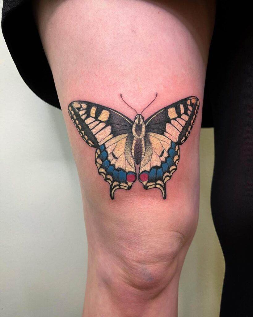 Colorful beauty swallowtail butterfly on the thigh