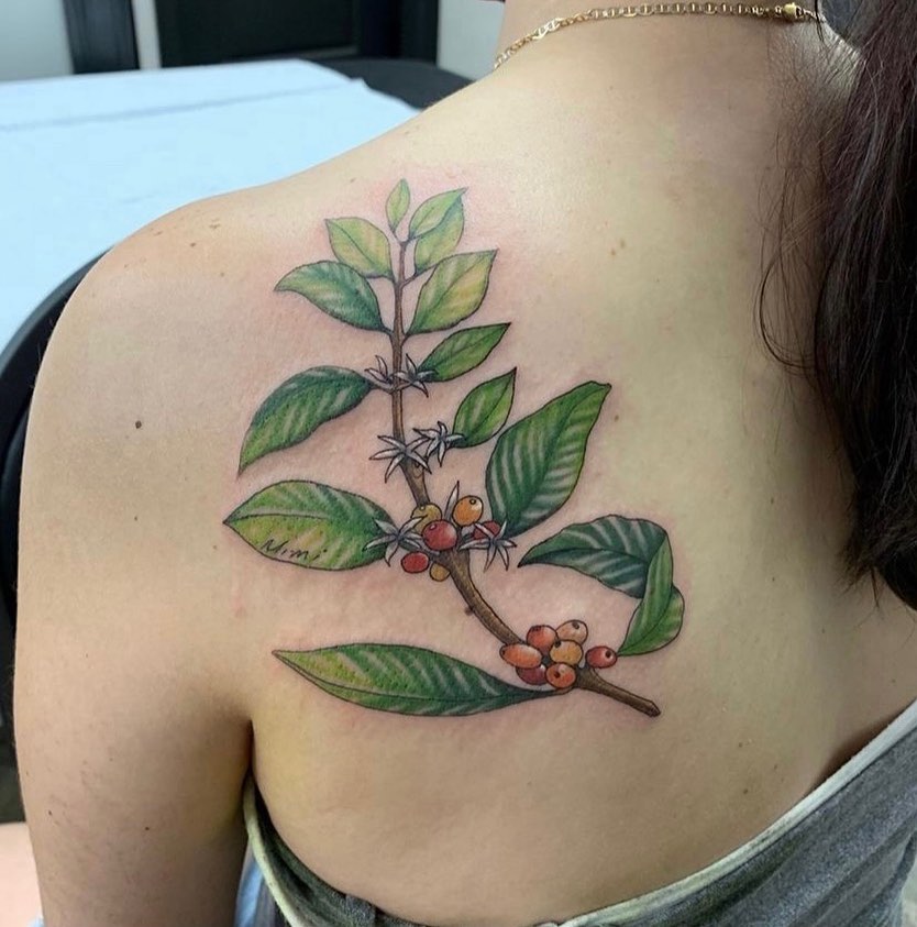 Colorful coffee plant back-of-shoulder tattoos for females