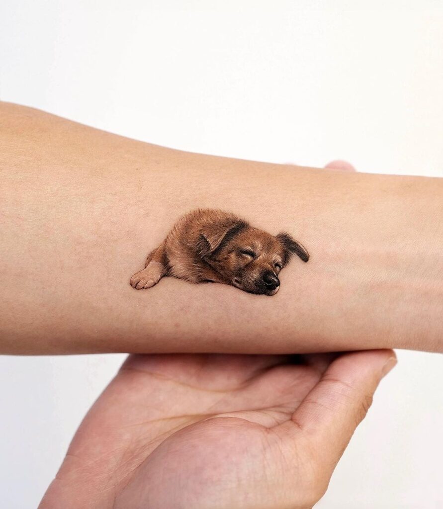 Colorful sleeping dog tattoo on the wrist for women snooze time