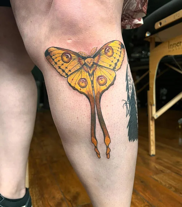 Comet Moth Tattoo