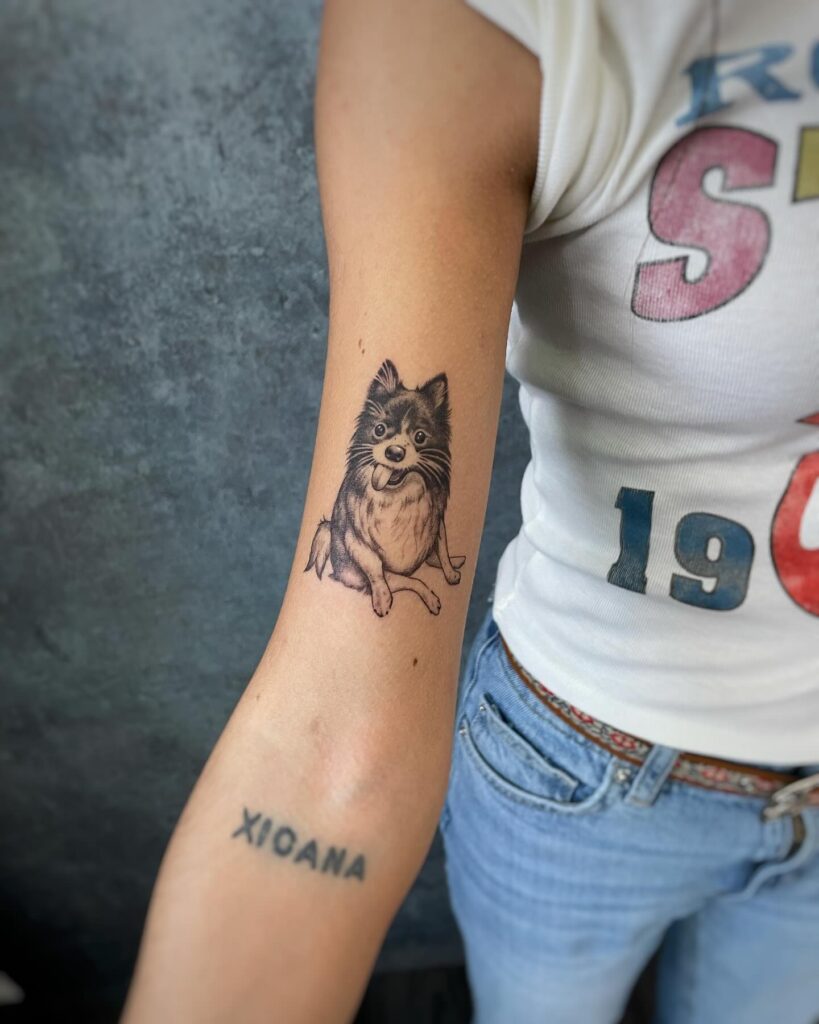 Cute Pomeranian Dog Portrait on the Inner Elbow for Cuteness: Pomeranian Charm