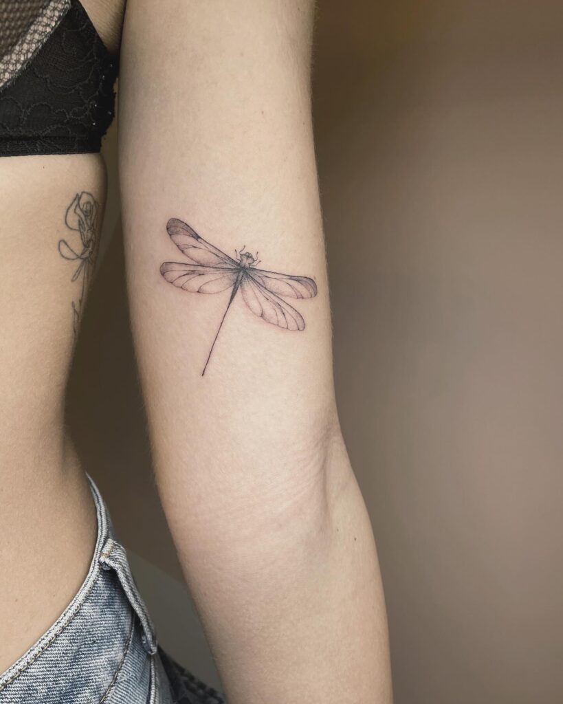 Delicate Minimalist Dragonfly Tattoo on Upper Arm with Graceful Linework
