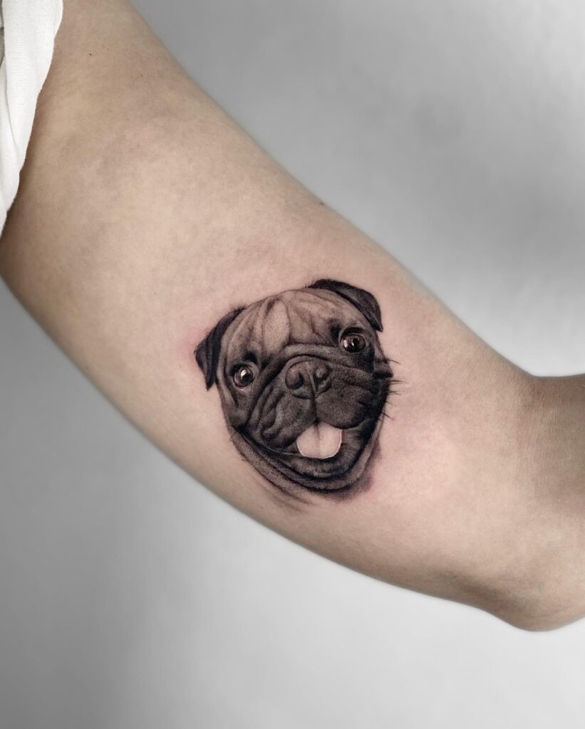 Detailed Black and Grey Pug Portrait Tattoo on the Biceps: Pug Elegance