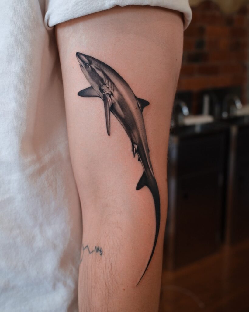 Detailed black and grey shark tattoo on upper arm with fine linework