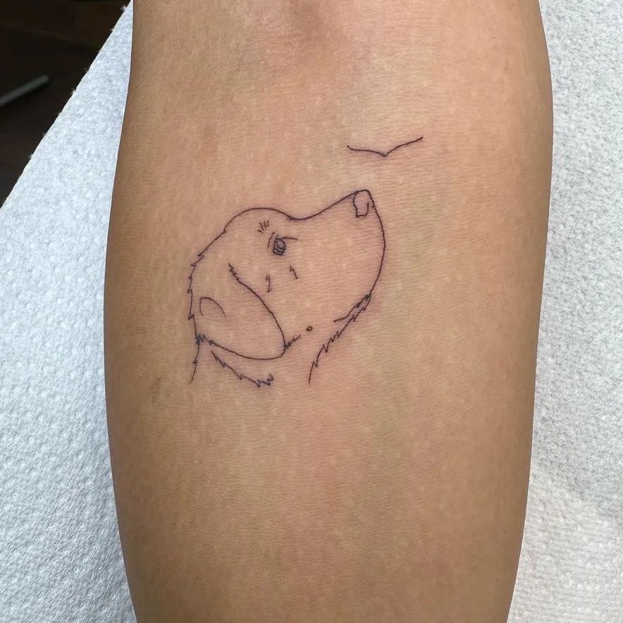 Dog Face Side View Gazing at a Bird on the Below Elbow: Fineline Harmony