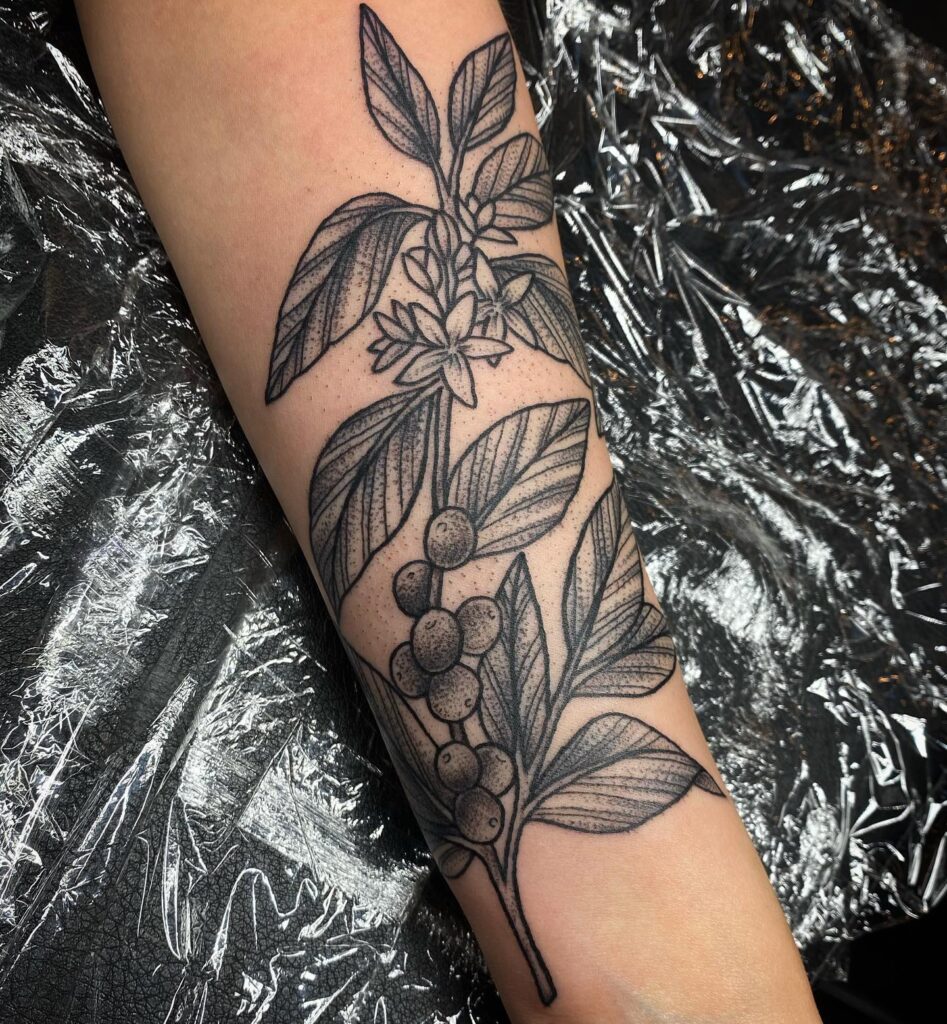 Elegant black and gray pepper shaded coffee plant forearm tattoo