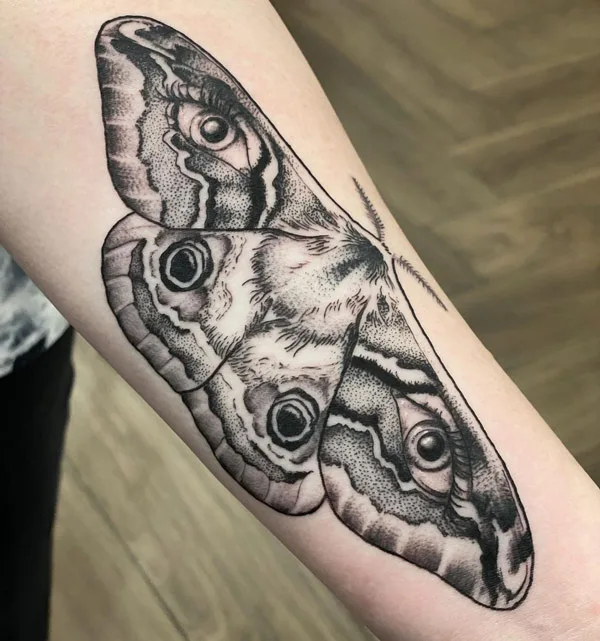 Emperor Moth Tattoo 1