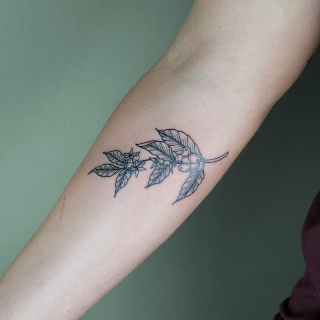 Espresso elegance small cute coffee plant tattoo on forearm