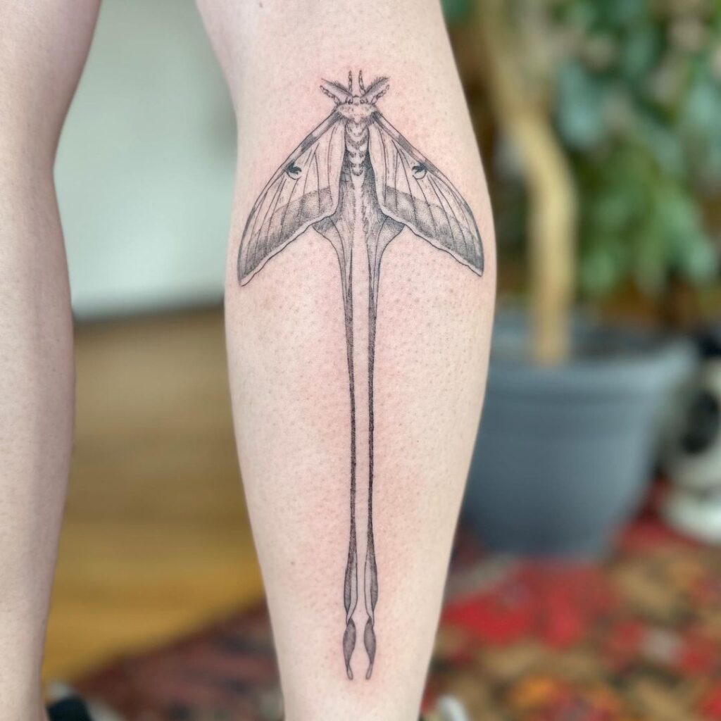 Exquisite ink art chinese moon moth  calf tattoo 