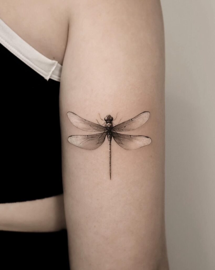 Feminine and inspiring dragonfly tattoos tailored for women