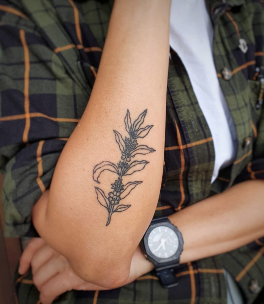 Fine Line Coffee Plant Tattoo on Outer Forearm Delicate Art for Men