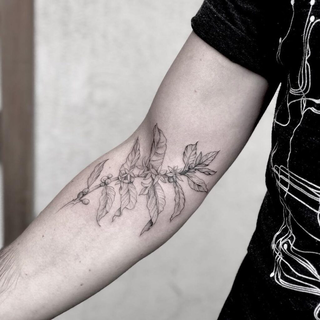 Fine line coffee plant elbow tattoo ideas for women