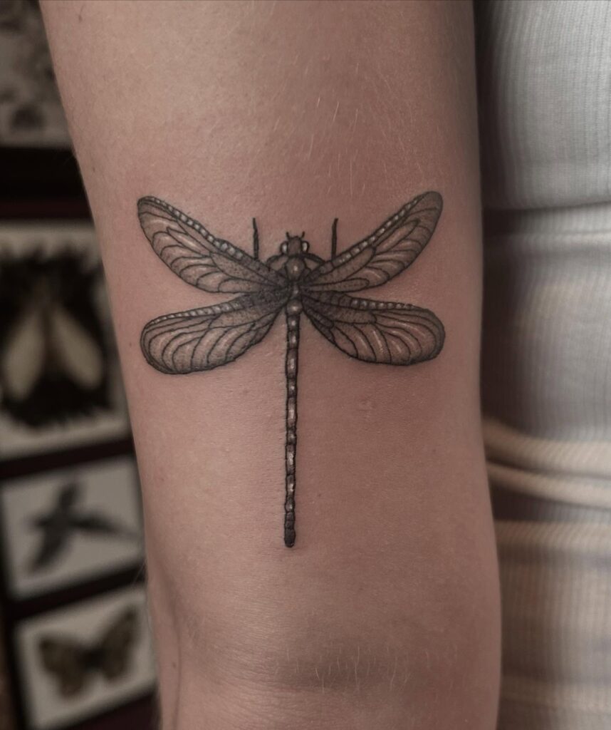 Fine Line Dragonfly Tattoo with Elegant Wing Detailing