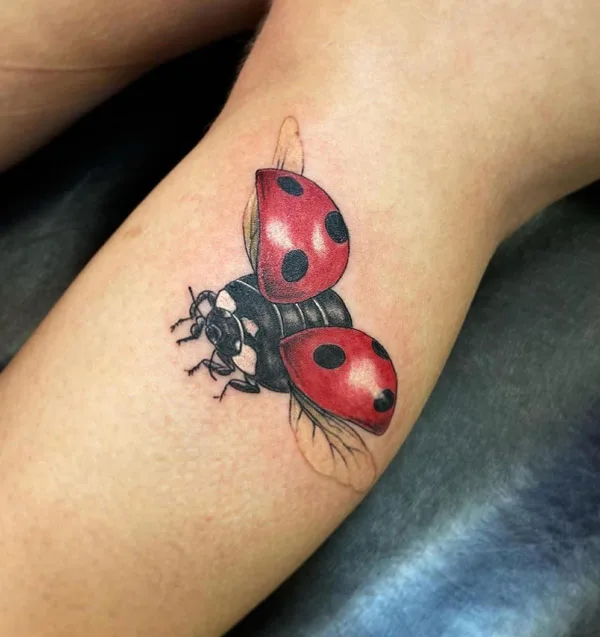 Flying Ladybug Tattoo 1