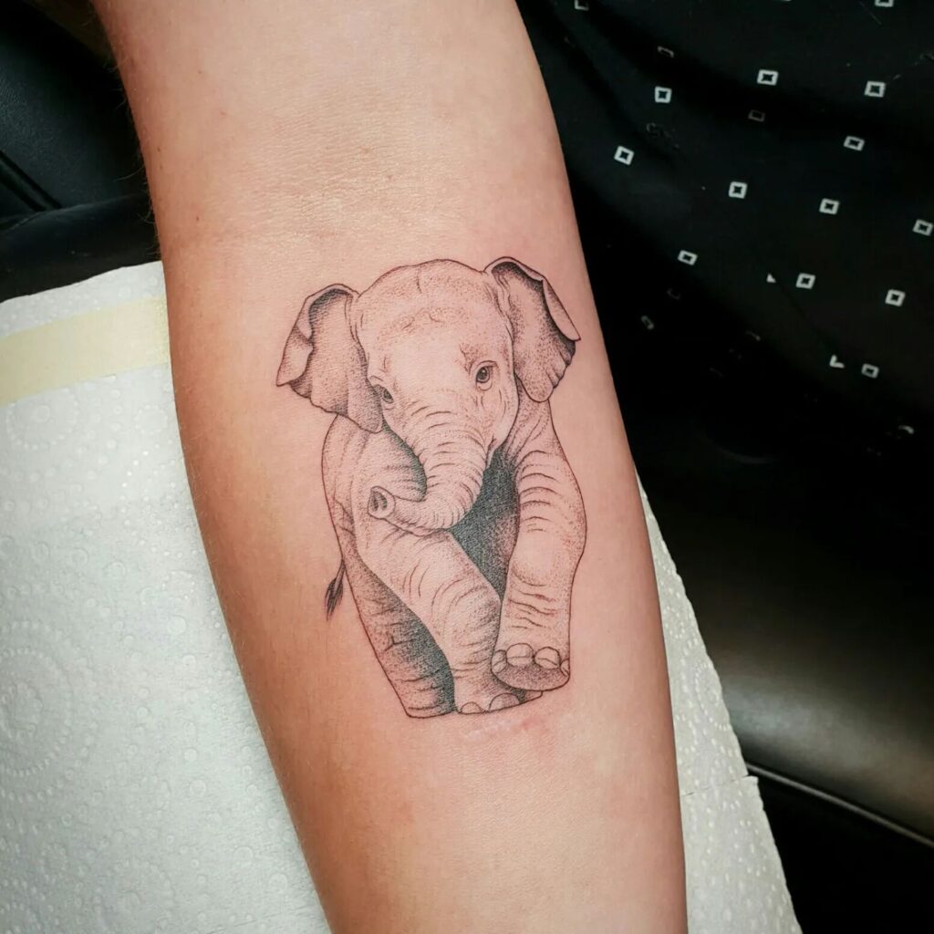 Front view baby elephant tattoo on the forearm: little wonder on display