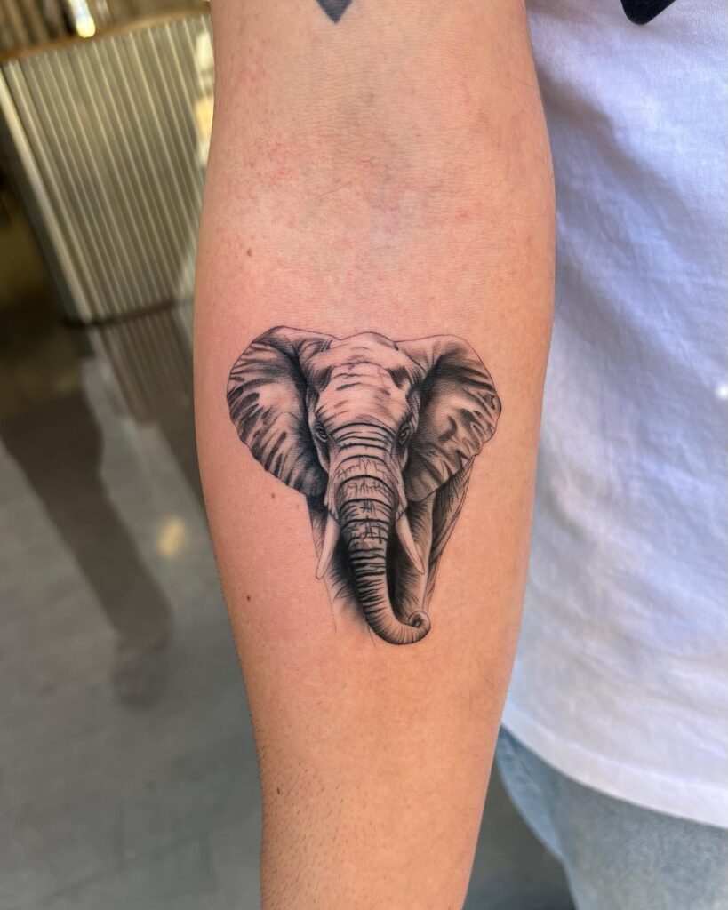 Front view elephant tattoo with distinctive large ears: below elbow majesty