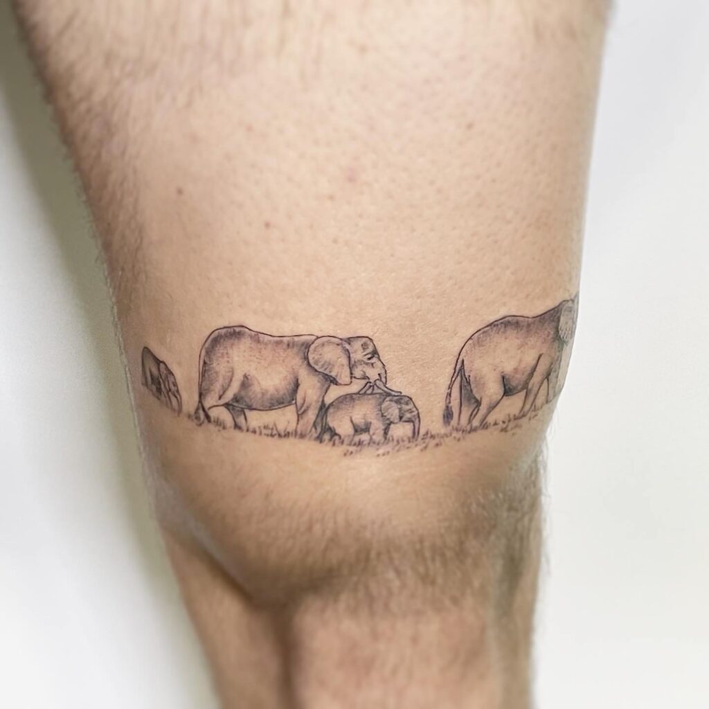 Fully covered above the knee with two elephants and two babies marching left to right: family parade
