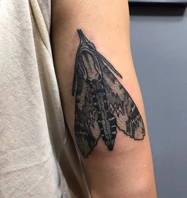 Hawk Moth Tattoo