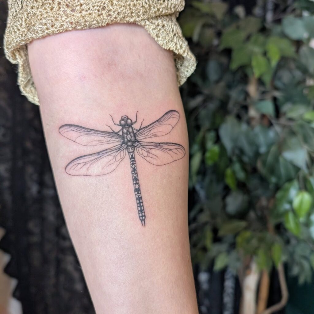 Highly Detailed Dragonfly Tattoo on Arm with Fine-Line Shading