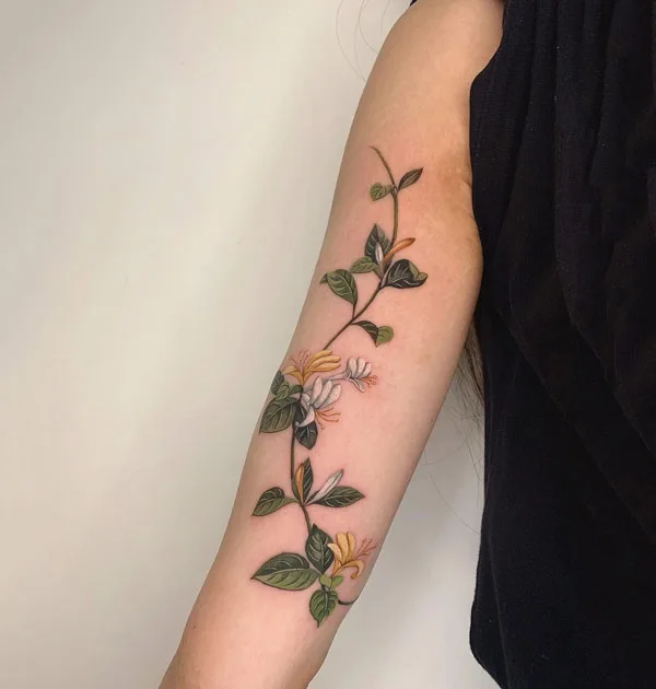 Honeysuckle Vine Tattoo 2