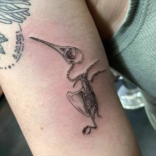 Hummingbird Skeleton Tattoo 1