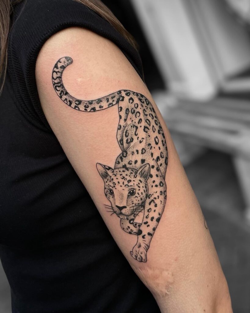 Ink evolution healed upper arm leopard tattoo