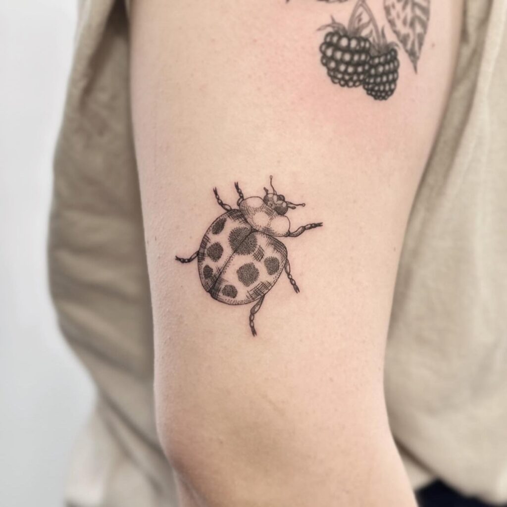 Ladybug Tattoo Black And White Design For Hand