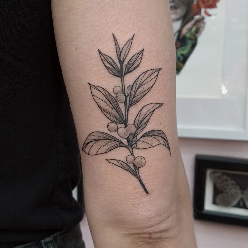 Lil coffee plant tattoo on outer arm above elbow subtle accent