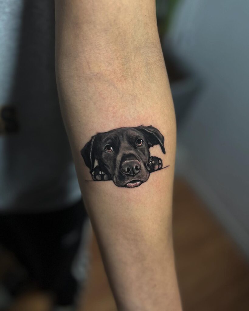 Little Dog Portrait with Playful Front Legs on the Forearm: Tiny Totem