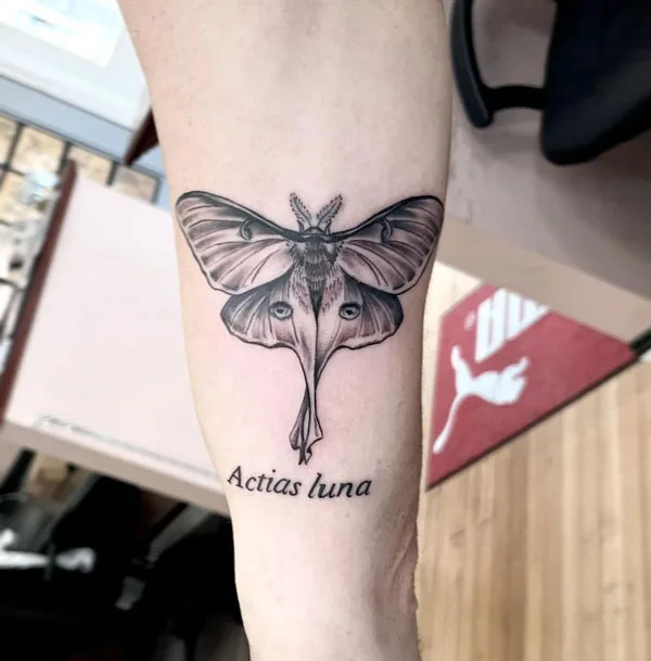 Luna Moth forearm tattoo