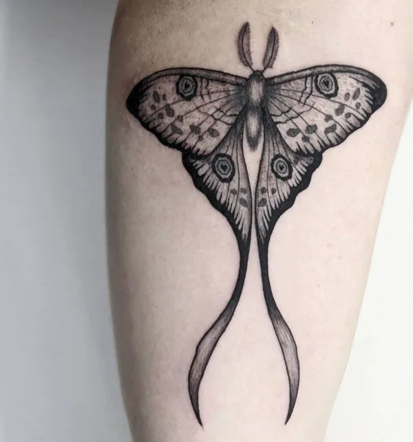 Luna Moth tattoo 20