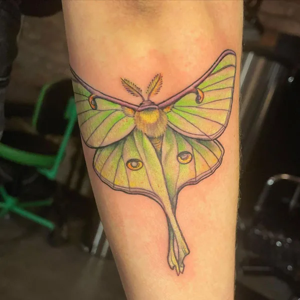 Luna Moth tattoo 27