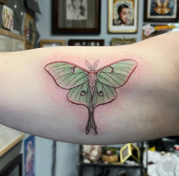 Luna Moth tattoo 31