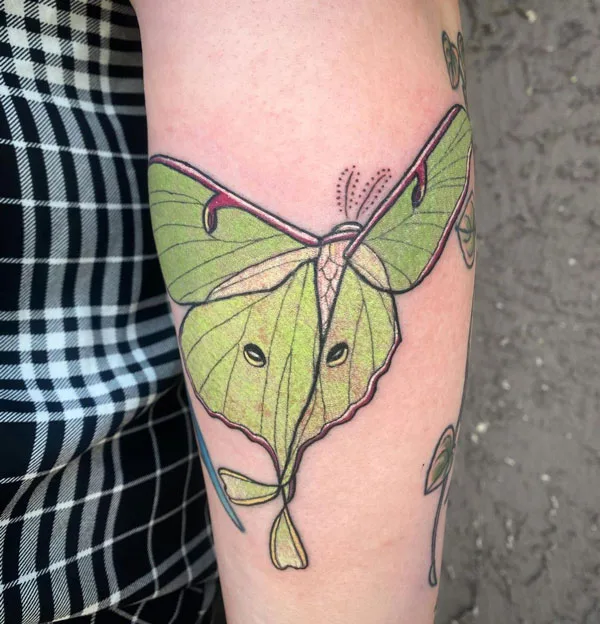 Luna Moth tattoo 34