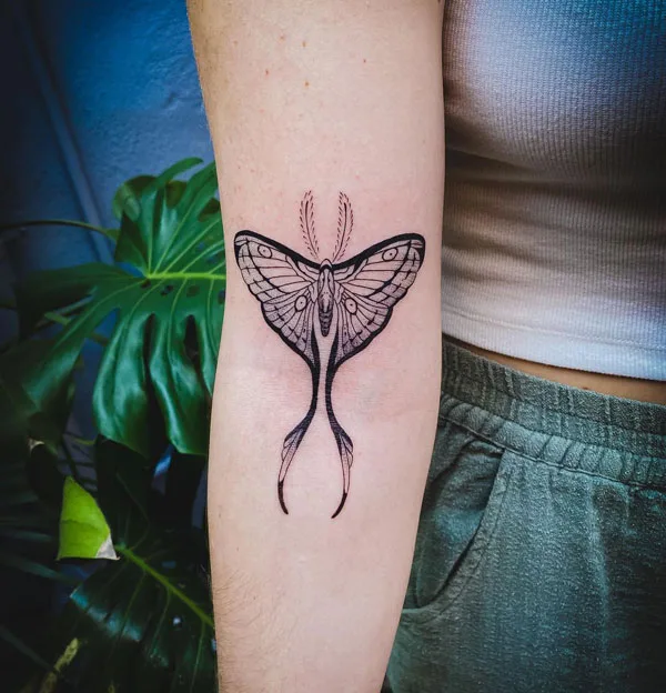 Luna Moth tattoo 43