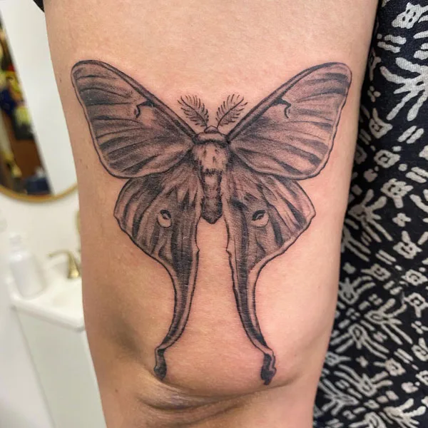 Luna Moth tattoo 72