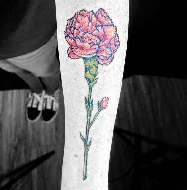 Meaning of Carnation Tattoos