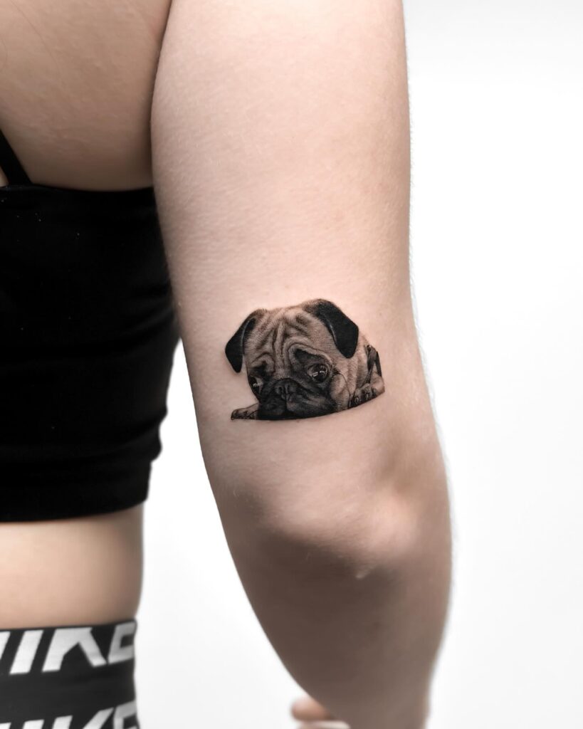 Micro Realistic Style Sitting Pug Portrait Tattoo on the Back of the Above Elbow: Pug Love