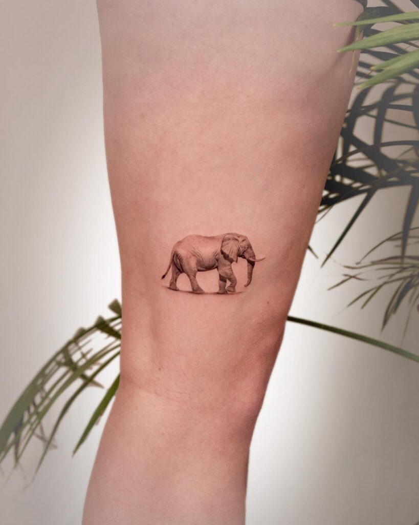 Mini elephant tattoo behind the knee for subtle grace: knee cap companion