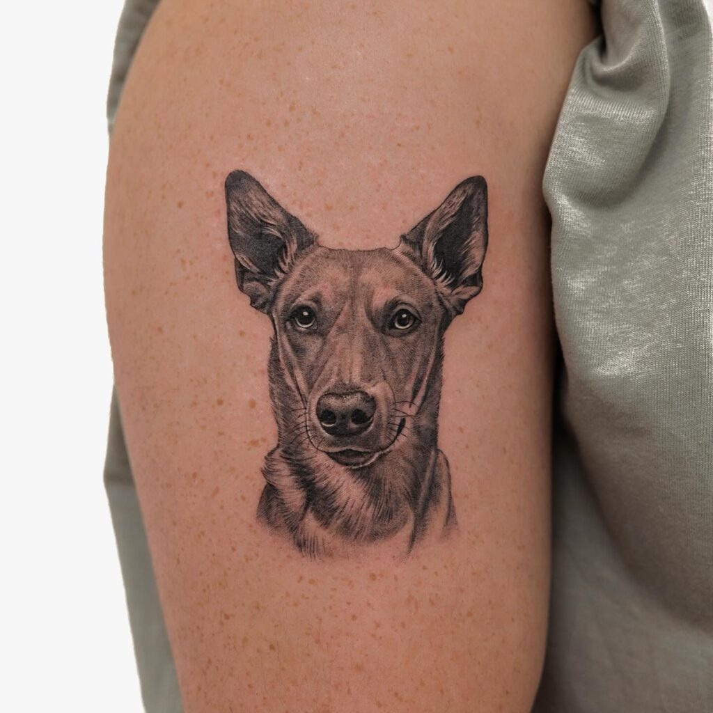 Miniature Pinscher Portrait Tattoo on the Arm for a Delicate Touch: Miniature Majesty