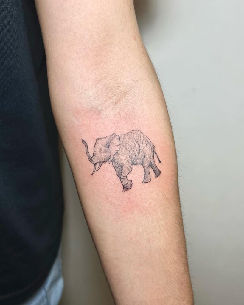 Minimal grey shaded elephant side view trunk lift: below elbow elegance